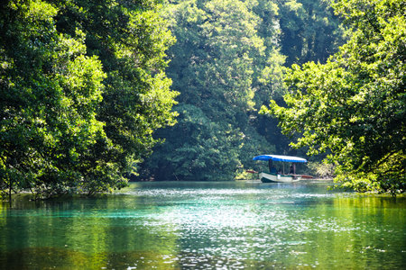 Boat on the river hand driven in protected river springs on Ohrid Lakeの写真素材