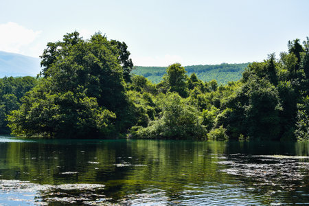 Trees next to river in the summertime on a sunny dayの写真素材
