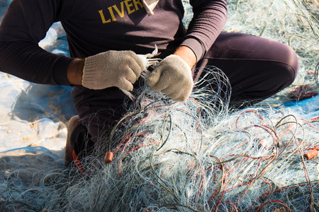 The fisherman was taking crabs Blue Swimming Crab from the net on the seaside of Chao Samran Beach Phetchaburi Thailand in the morning. The fisherman has sold these stuff with the local restaurant for tourist in the weekend.のeditorial素材