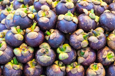 Pile of mangosteen in closeup.の写真素材