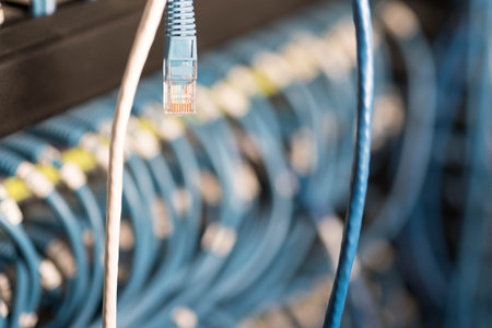 Wire with network switch  in background.