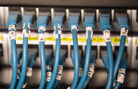 Ethernet cable on network switches in background.