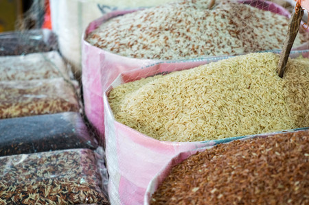 Various organic rice of Thailand.の写真素材