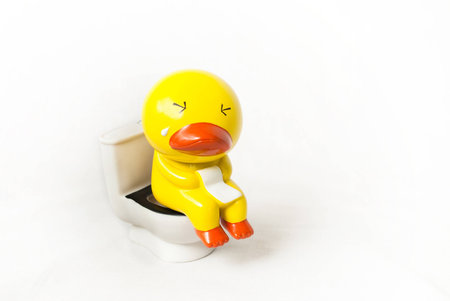 A yellow duck doll with pressure expression while on toilet seat の写真素材