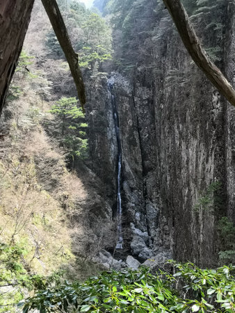 In the summer of Japan, a large waterfall deep in the steep mountains.の写真素材