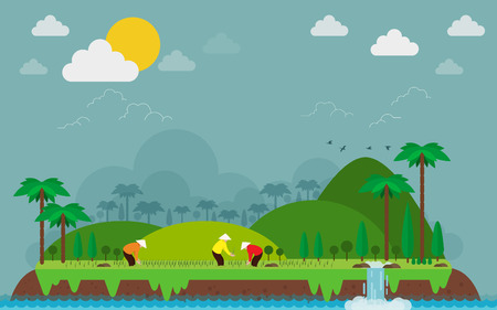 Vietnamese planting rice on islands, green hills. vector illustrationのイラスト素材