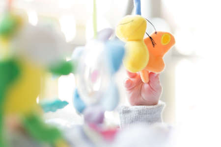 Toys for newborn baby, education conceptsの写真素材