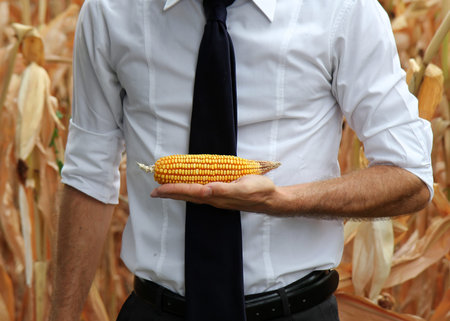Business and farmer checking his cereal products