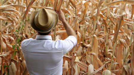Business and farmer checking his products