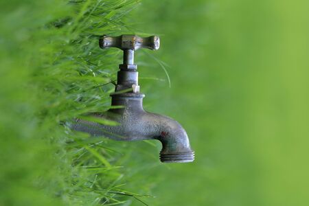 Water, nature and life conceptsの写真素材