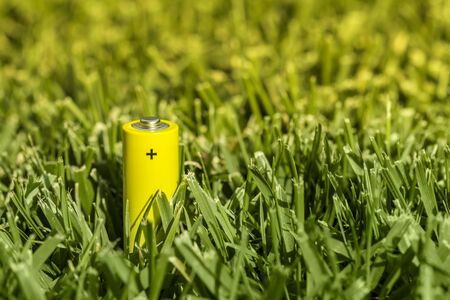 Environment and nature conceptsの写真素材