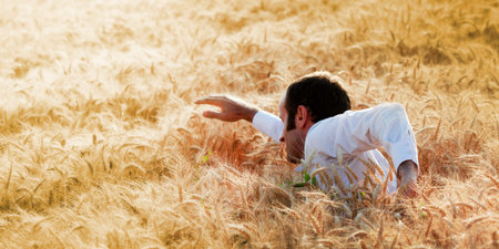 Businessman swimming in a golden fieldの写真素材