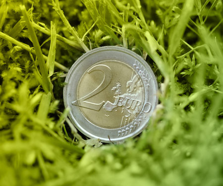 Euro coin in the grass, finance and nature concepts