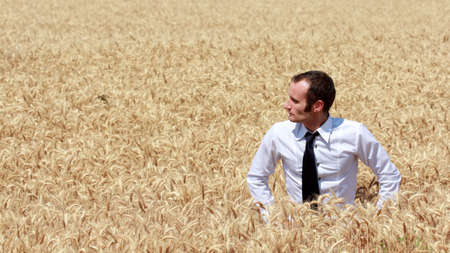 Business and nature conceptsの写真素材