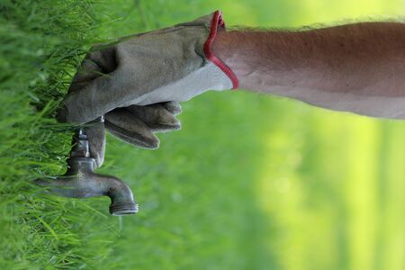 Save water and nature conceptsの写真素材