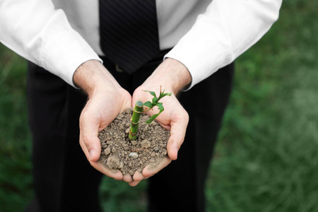 Business and nature metaphorの写真素材