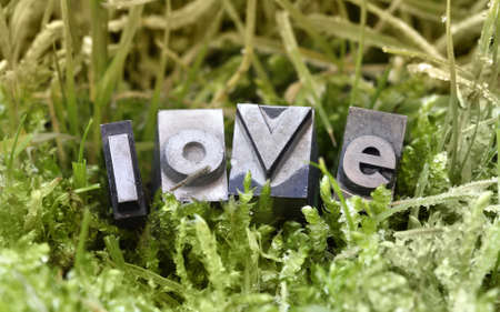 Letterpress green love message, ecology and environment conceptsの写真素材