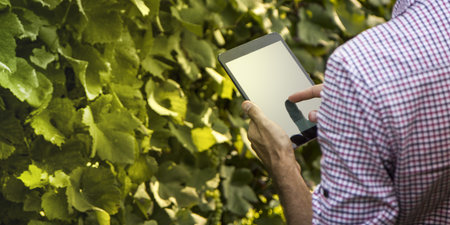 Digital farmer checking his field with a tablet