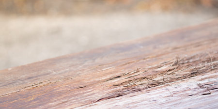 Natural old wooden from a boat