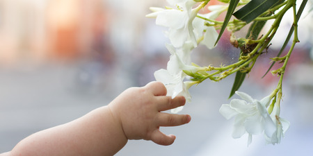 Cute little baby discovering natureの写真素材