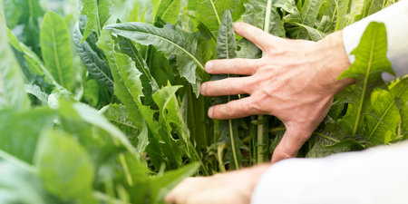 Agriculture and natural products concepts