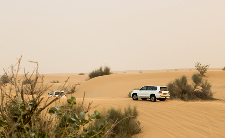 Safari on sand desert dunesのeditorial素材
