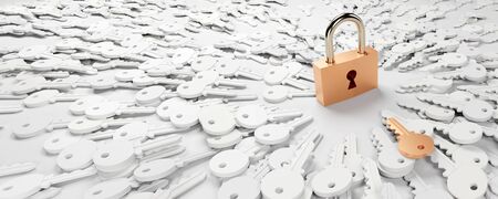 One padlock with infinite keys, metaphor of problems, solutions  and risk management; original 3d renderingの写真素材