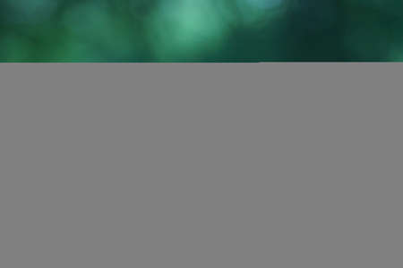 aphids on a leafの写真素材