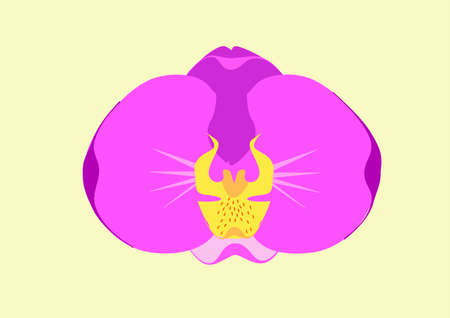 Botanical illustration for banner, postcard, flyer, card, clipart, design.のイラスト素材