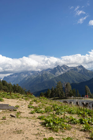 Mountain landscape in Tyrol (Austria) in summer.