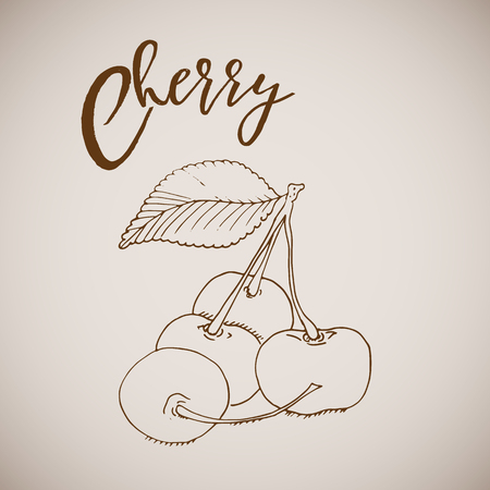 Hand drawn sketch style painting cherry Retro style berryのイラスト素材