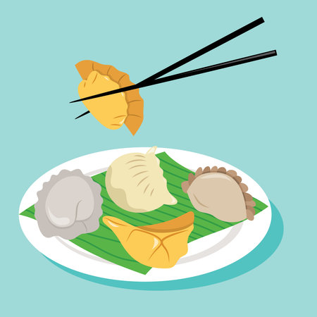 A cartoon vector illustration of various chinese dumplings on a plate and a pair of chopsticks.のイラスト素材