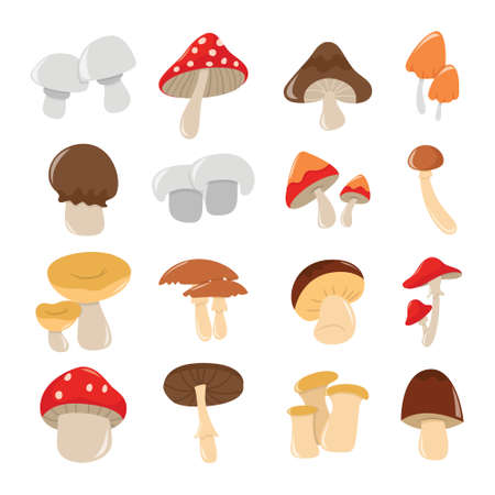A cartoon vector illustration of various mushrooms set.のイラスト素材