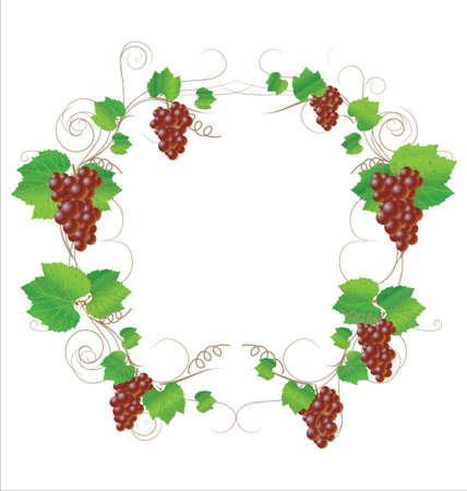 Grape wine conceptのイラスト素材