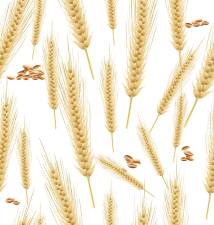 Wheat seamless backgroundのイラスト素材