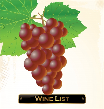 Wine listのイラスト素材