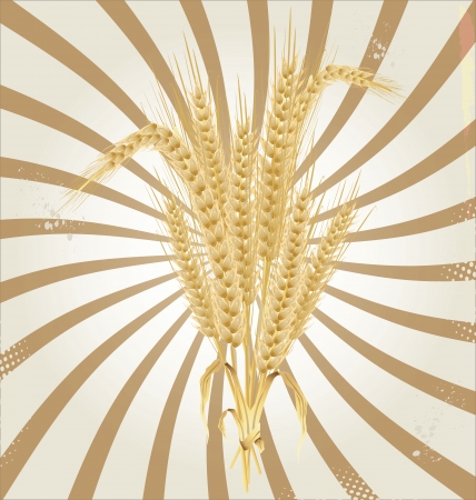 Wheat retro backgroundのイラスト素材