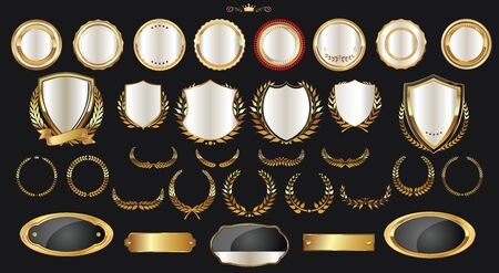 Luxury gold and silver design elements collectionのイラスト素材