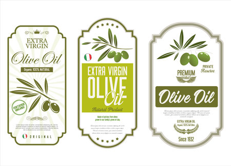 Olive oil retro vintage background collection vector illustrationのイラスト素材