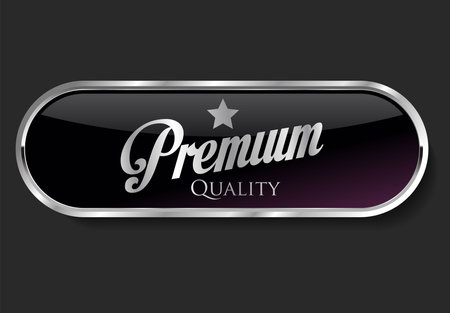 Premium quality button. Silver metal banner. Vector illustration EPS 10.のイラスト素材