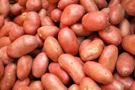  potatos の写真素材