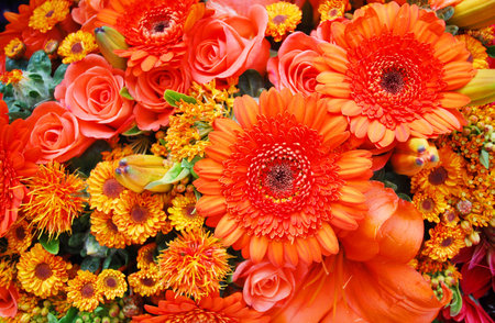 orange flowers filling th entire pictureの写真素材