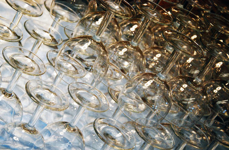 wine glassesの写真素材