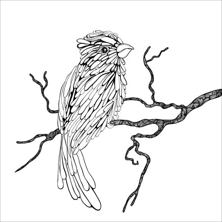 Bird on a branchのイラスト素材