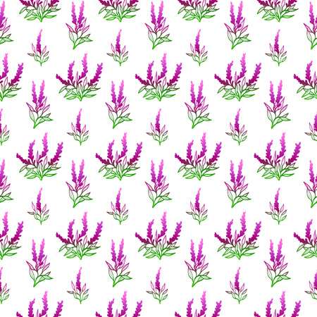 Seamles lavander pattern. Flowering plantのイラスト素材