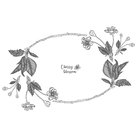 Twigs and cherry blossomsのイラスト素材