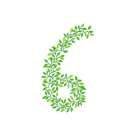 The number six. Green element made from leaves and sprigs.のイラスト素材