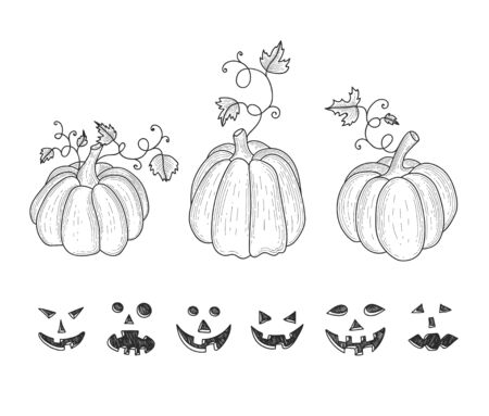 Collection of graphic hand drawn pumkins for your designのイラスト素材