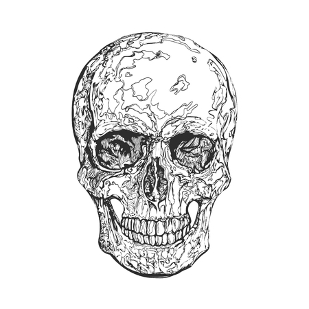 Black skull on white background. Vector elements for design template.のイラスト素材