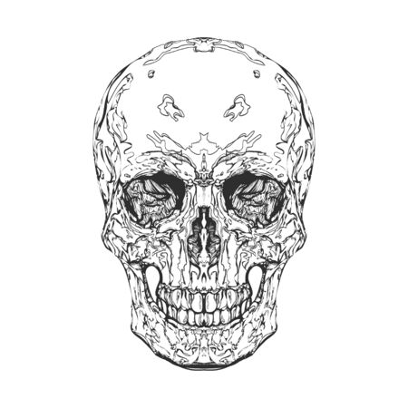 Black skull on white background. Vector elements for design template.のイラスト素材